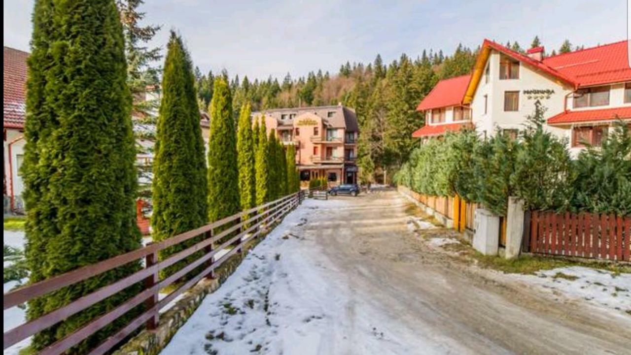Apartament Andra Пояна-Брашов Екстер'єр фото
